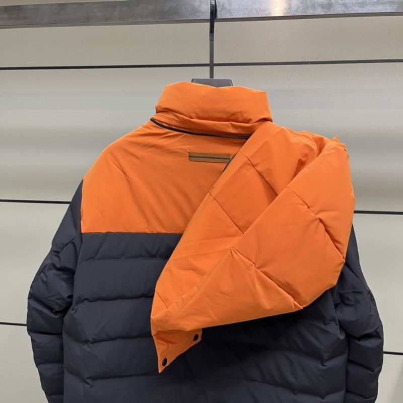 Zegna Down Jackets